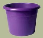 purple etrusco pot - low type